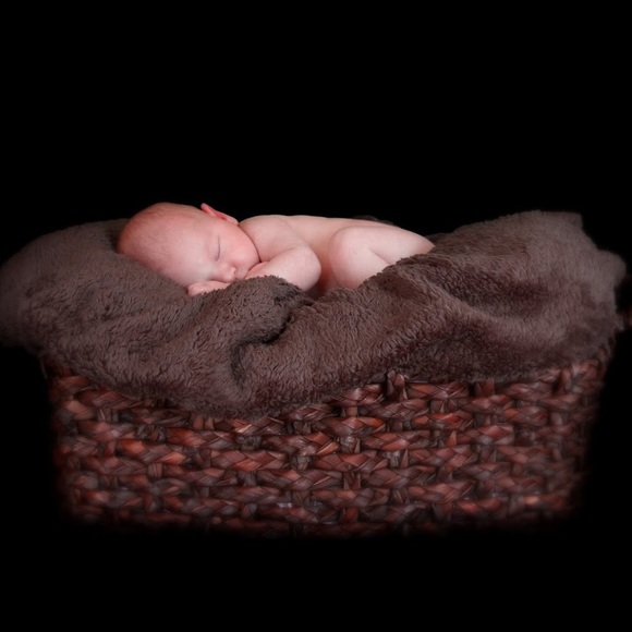 Meet your Posher, Robin - Picture 1 of 1